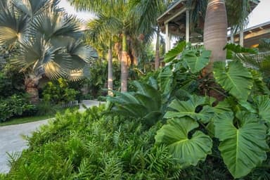 Common Garden