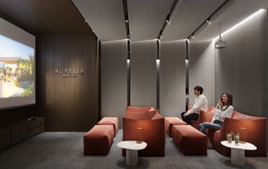  Cinema
