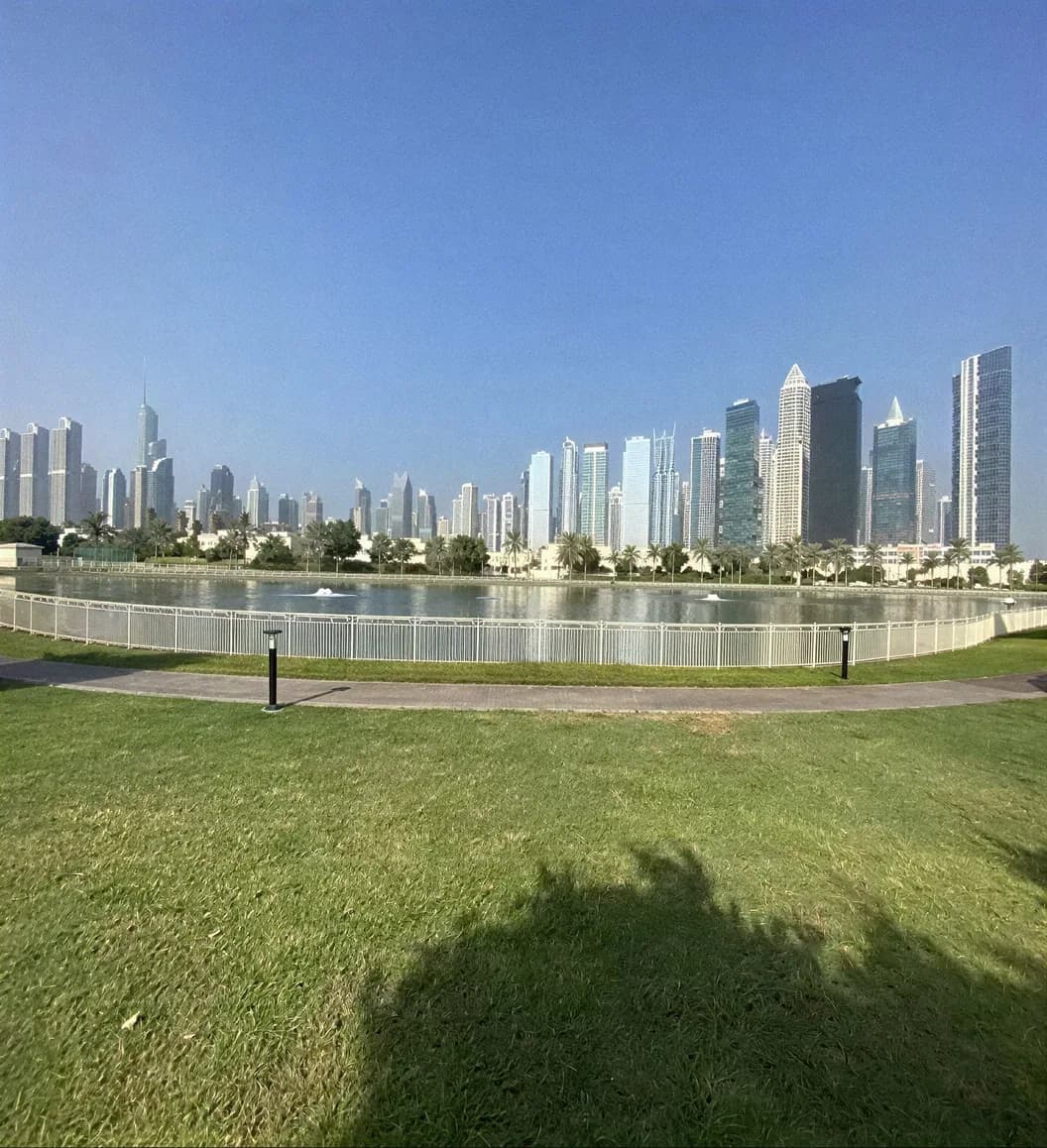 The Meadows