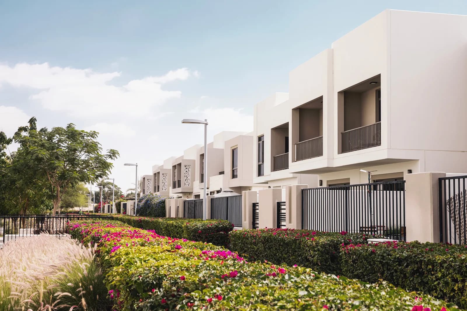 Row of white townhouses with a flowering hedge in Town Square Dubai